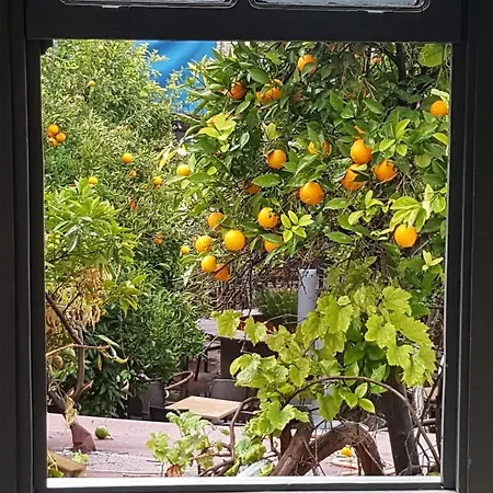 Pansiyon Gizli Bahce *